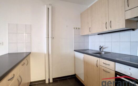 Appartement avec vue 2,5 pièces au 10ème étage