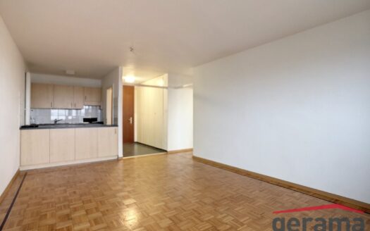 Appartement avec vue 2,5 pièces au 10ème étage