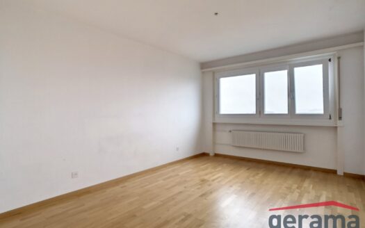 Appartement avec vue 2,5 pièces au 10ème étage