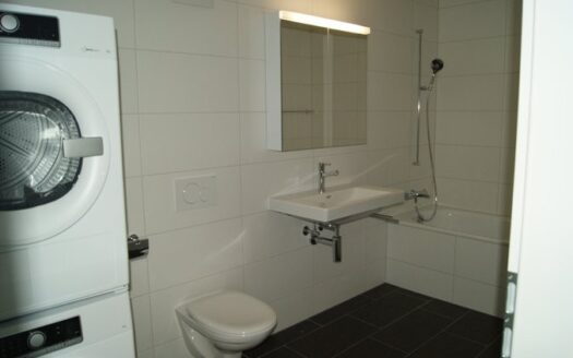 Appartement 3.5 pièces à Avenches