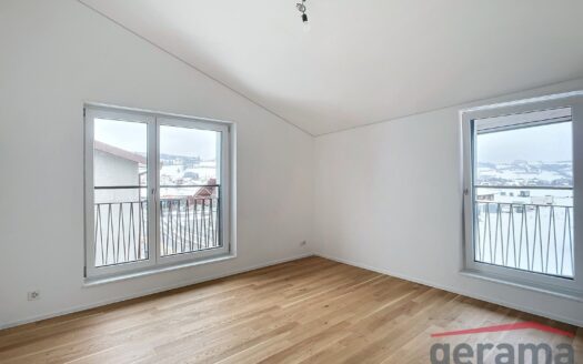 Moderne 3.5 Zimmerwohnung in Plaffeien