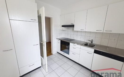 Appartement 4.5 pcs – Idéal pour une famille!
