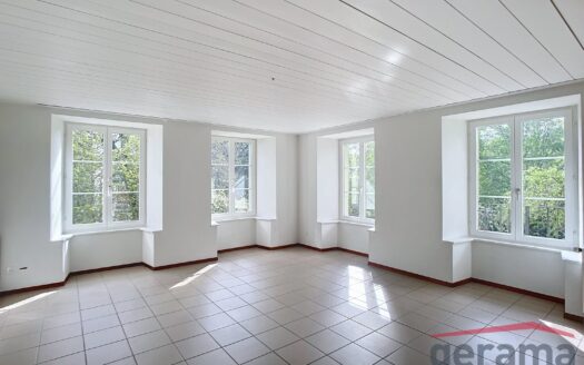 5.5 pièces au 1er étage idéal pour une famille