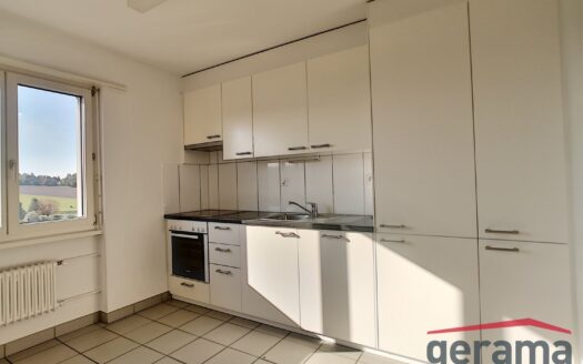 Appartement 2.5 pièces