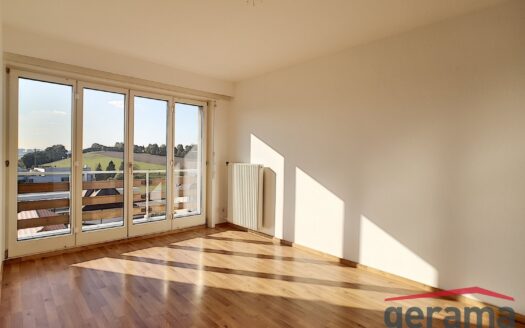 Appartement 2.5 pièces