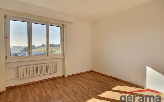 Appartement 2.5 pièces
