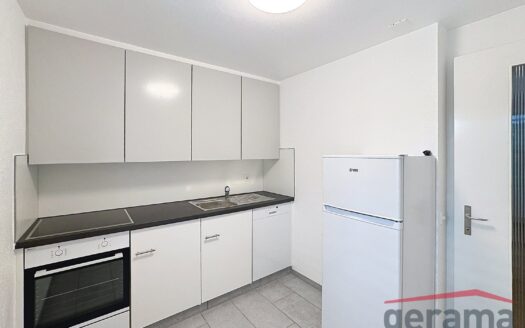 3.5 Zimmerwohung in Flamatt !