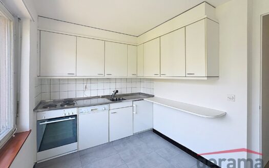 3.5 Zimmerwohnung in Flamatt !