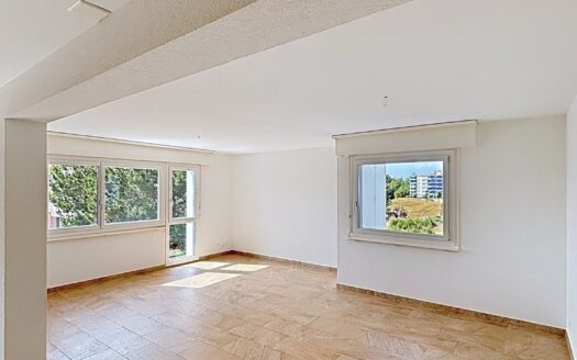 Charmant appartement de 5.5 pièces