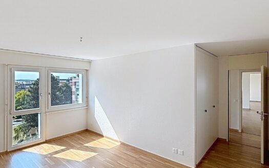 Charmant appartement de 5.5 pièces