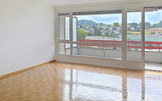 Charmante 3.5 Zimmer-Wohnung in Schmitten