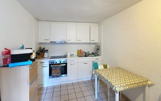 Immeuble locatif de caractère à Fribourg