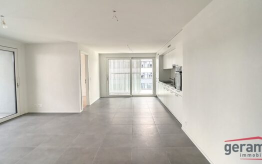 Appartement 4.5 pièces au 5ème étage