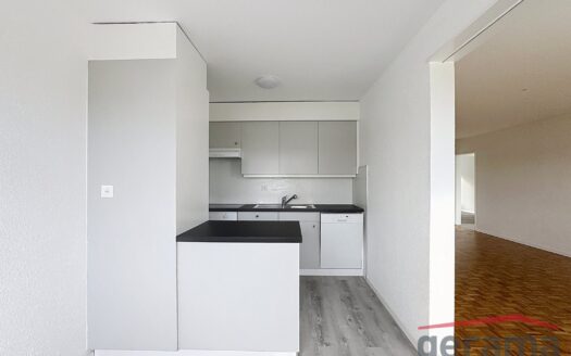Bel appartement rénové 4.5 pièces à Avenches