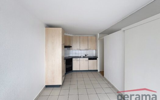 Appartement 3.5 pièces au 1er étage