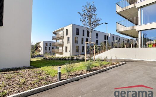 2,5 pièces à Matran