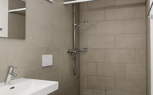Appartement 4,5 pièces à Matran
