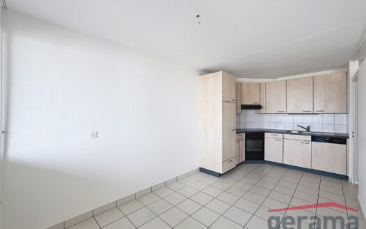 Appartement 3.5 pièces au 1er étage