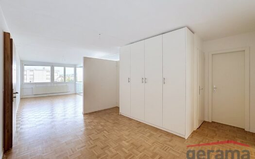 Appartement 3.5 pièces au 1er étage