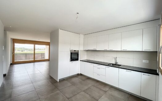 Appartement 3.5 pièces au 3ème