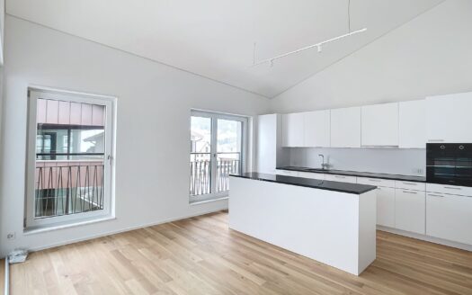 Moderne 3.5 Zimmerwohnung in Plaffeien
