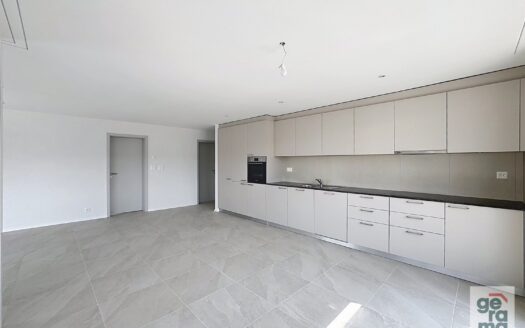 Appartement 4.5 pièces neuf à Domdidier !
