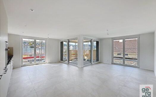 Appartement 4.5 pièces neuf à Domdidier !
