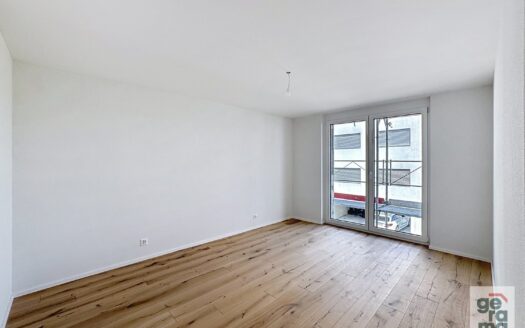 Appartement 4.5 pièces neuf à Domdidier !