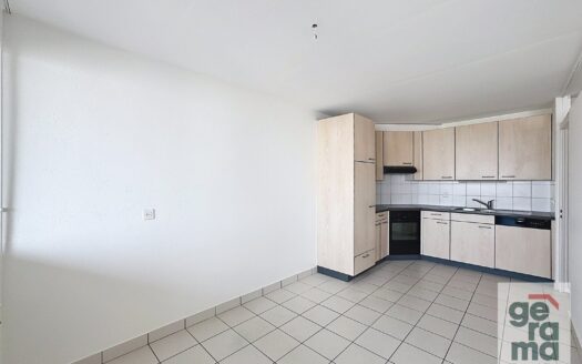 Appartement 3.5 pièces au 1er étage