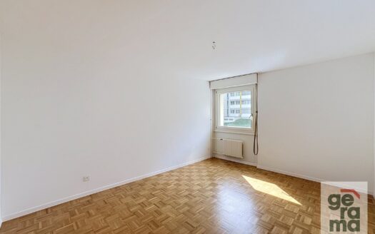 Appartement 3.5 pièces au 1er étage