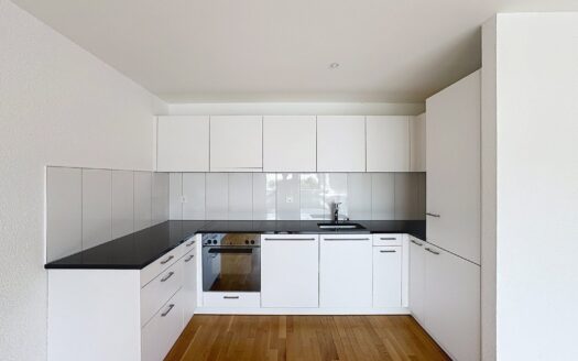 Appartement 3.5 pièces à Avenches