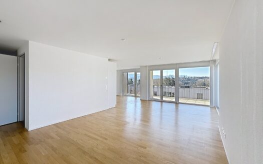 Appartement de 5,5 pièces récent à Matran