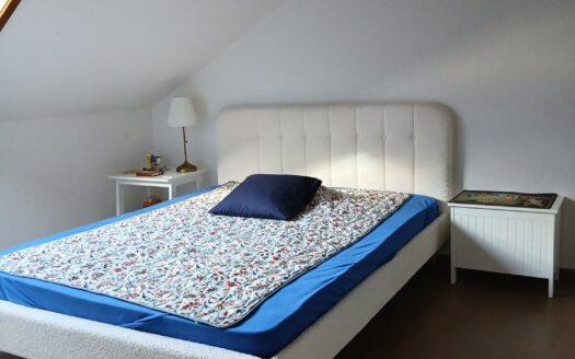 Charmant appartement de 2.5 pièces à Fribourg