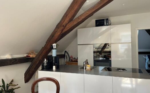Magnifique appartement 2.5 pièces dans les combles