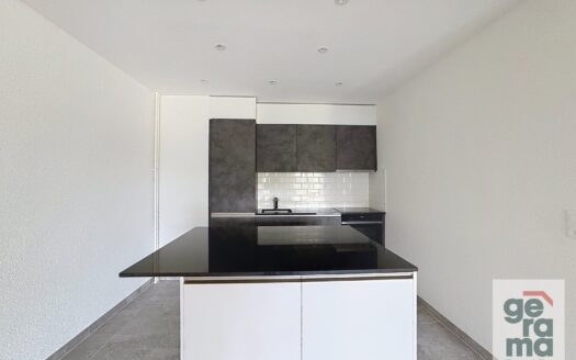 Spacieux appartement de 2,5 pièces – 104 m²