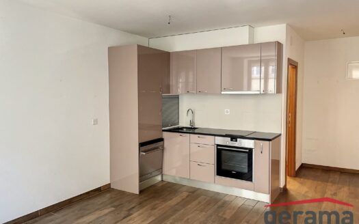 Appartement 2.5 pièces proche de la Cathédrale