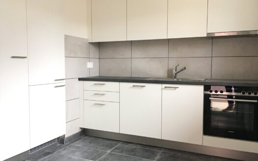 Appartement 4.5 pièces à St Maurice !