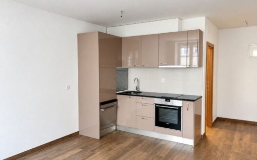 Appartement 2.5 pièces proche de la Cathédrale