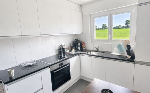 Appartement de 4,5 pces récemment rénové