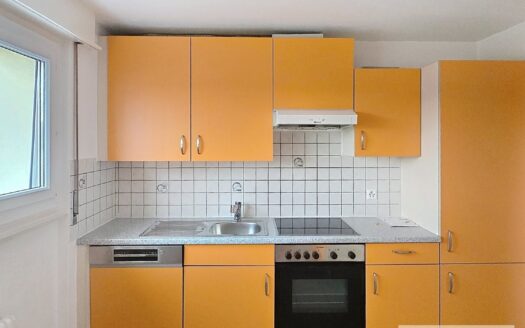 4.0 Zimmer-Wohnung in Plaffeien