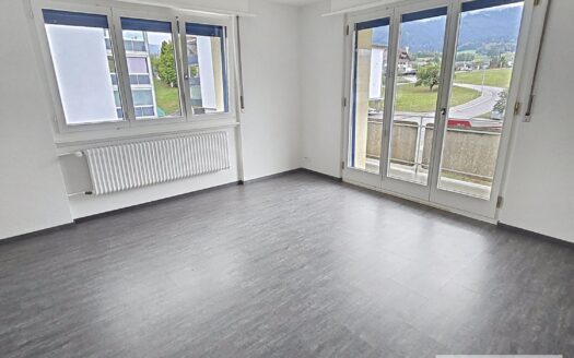 4.0 Zimmer-Wohnung in Plaffeien