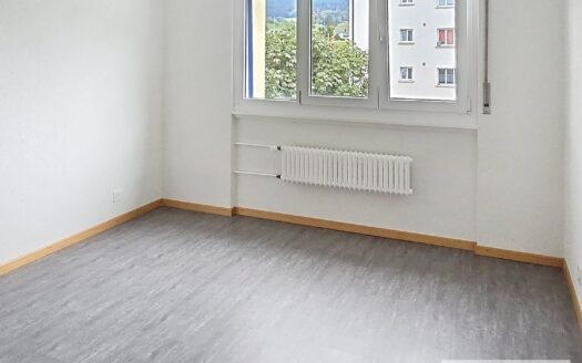 4.0 Zimmer-Wohnung in Plaffeien