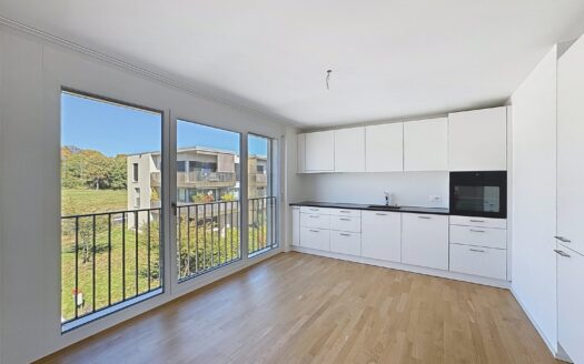 Appartement 4,5 pièces à Matran