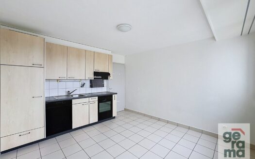 Appartement 2.5 pièces – Cité du Levant