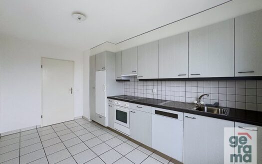 Appartement 3.5 pièces au Castel !