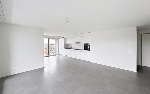 Bel appartement de 3.5 pièces au 10ème étage
