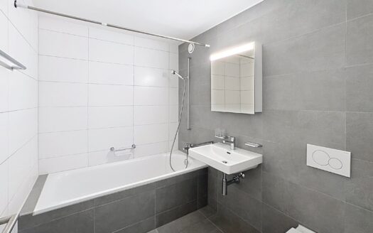Bel appartement de 3.5 pièces au 10ème étage