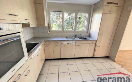 Appartement 4.5 pièces au 1er étage