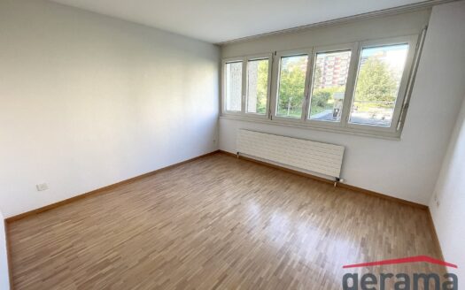 Appartement 4.5 pièces au 1er étage