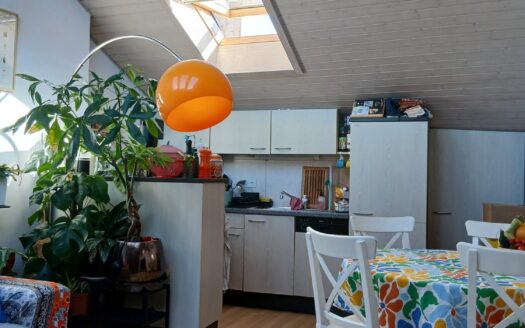 Splendide 2.5 pces en duplex au coeur de la ville